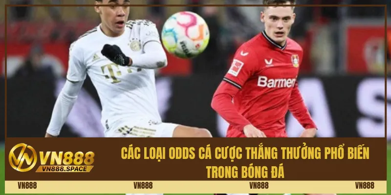 Các loại odds cá cược thắng thưởng phổ biến trong bóng đá