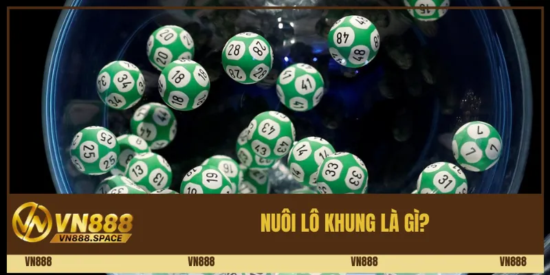 Nuôi Lô Khung Là Gì? Hướng Dẫn Cách Nuôi Hiệu Quả Tại Vn888 1 Nuôi lô khung là gì?